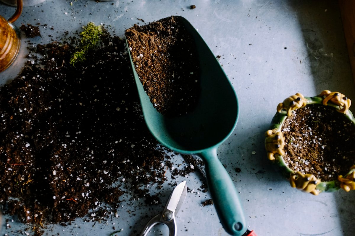 Soil at Ambica Haldi Farm