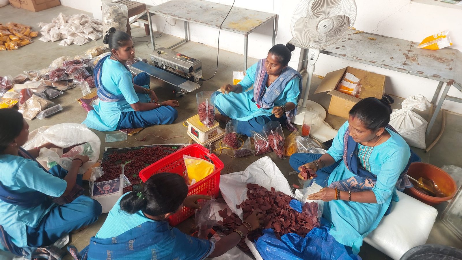 Sorting and weighing dried turmeric
