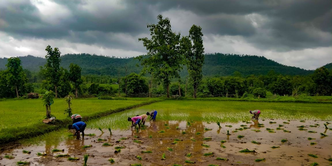 Planting in a wet field
